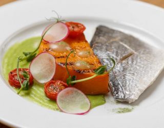 Курорт "Первая Линия"